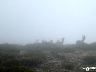 Bola del Mundo desde La Barranca por el Collado del Piornal y la Cuerda de las Cabrillas; senderismo